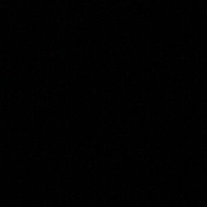 Meet your Posher, Joey